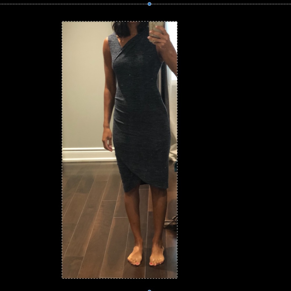 Aritzia/ Wilfred dress